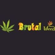 Brutal Weed grow distribuidor zerum