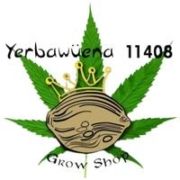 yerbawuena grow Distribuidores Zerum de confianza